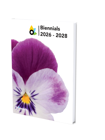 katalog_biennials_2026.png