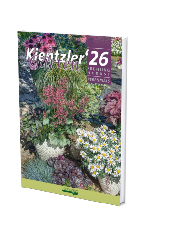 katalog_kientzler_perennials_2026.png