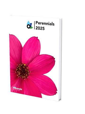 katalog_perennials2025.png